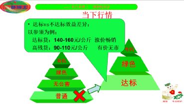 抚松县人参产业重大技术协同推广项目培训会开讲，技术赋能人参产业升级